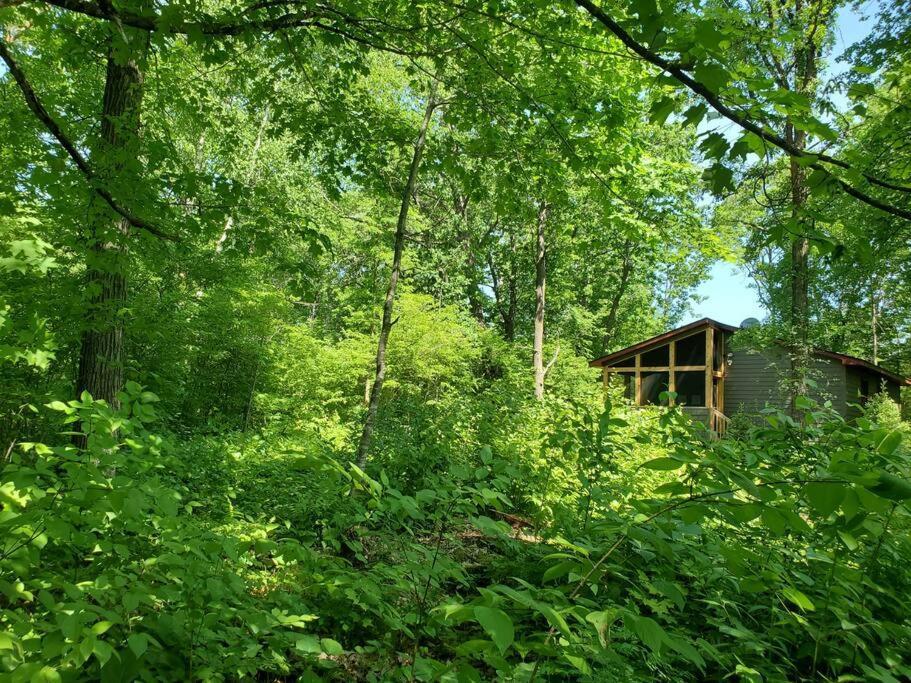Вилла Wilderness Meadows Pine City Экстерьер фото